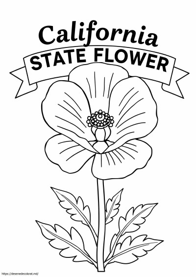 Floarea statului california