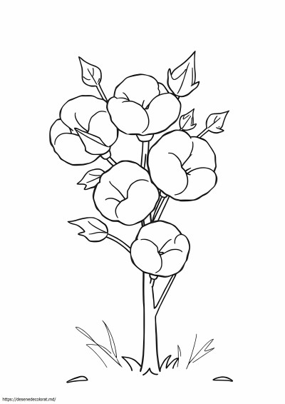 Planta de bumbac