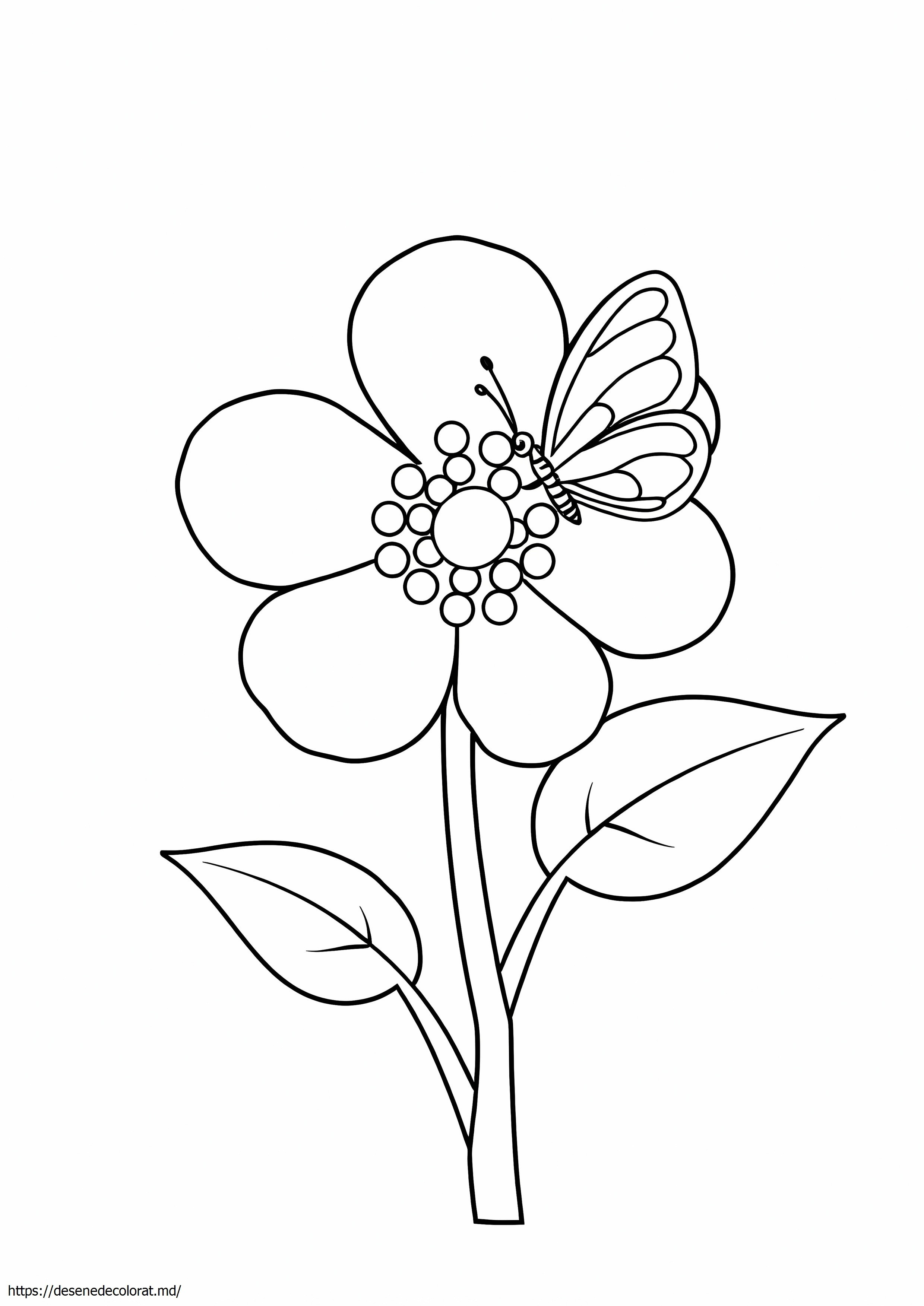 Natura florilor