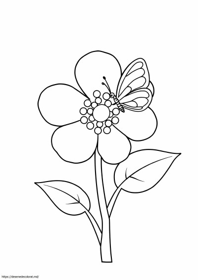 Natura florilor