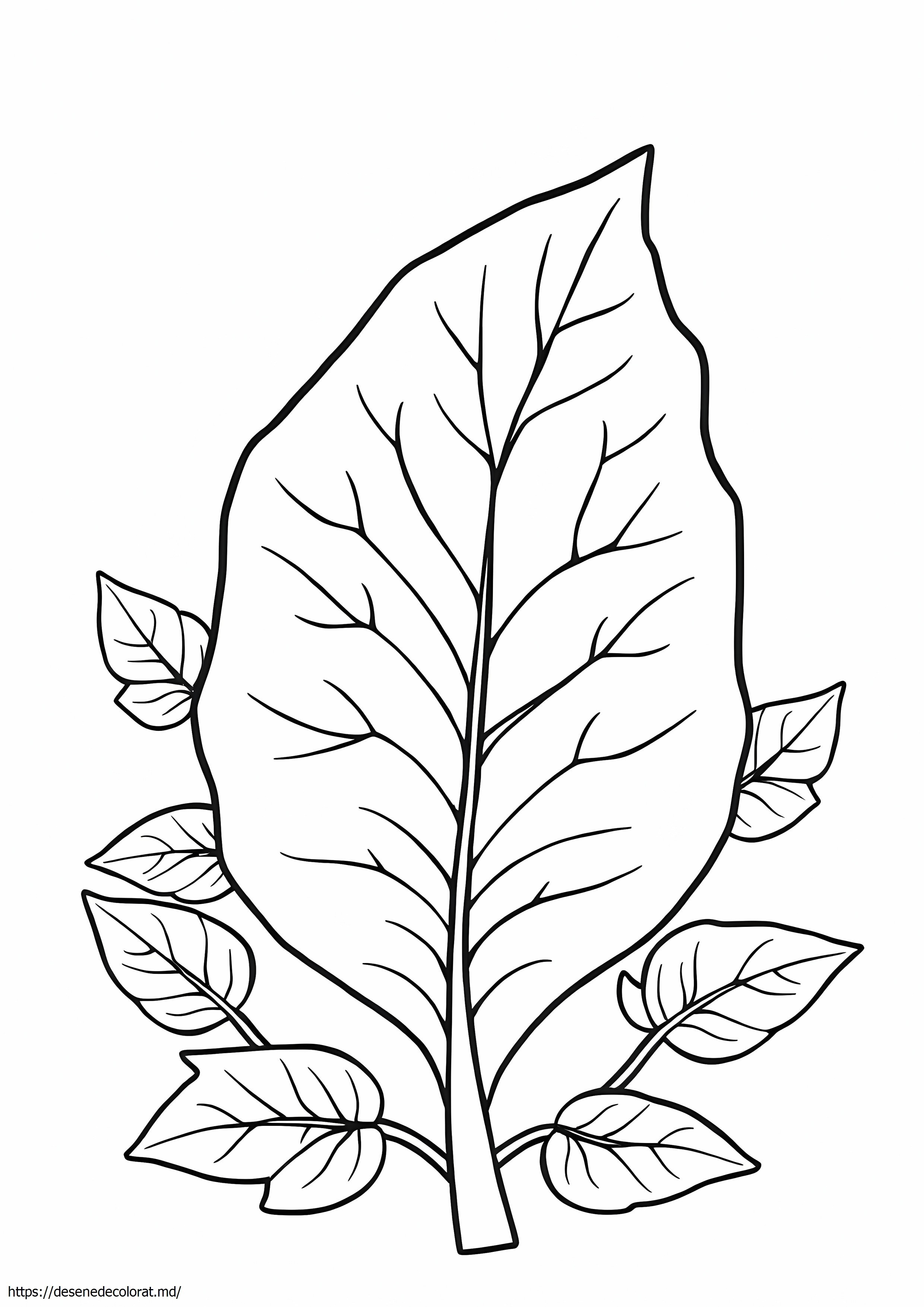 Frunze de flori