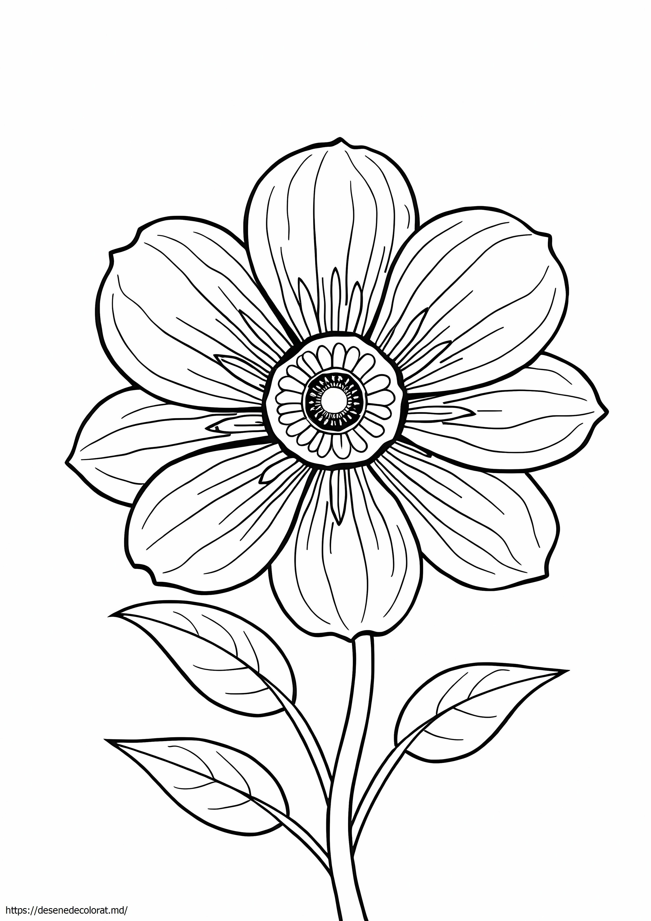 Floare detaliată