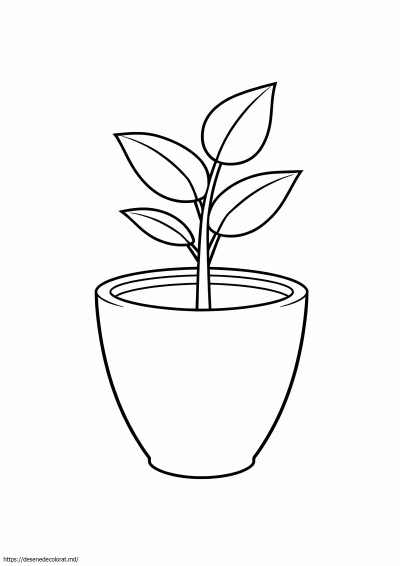 Ghiveci pentru plante
