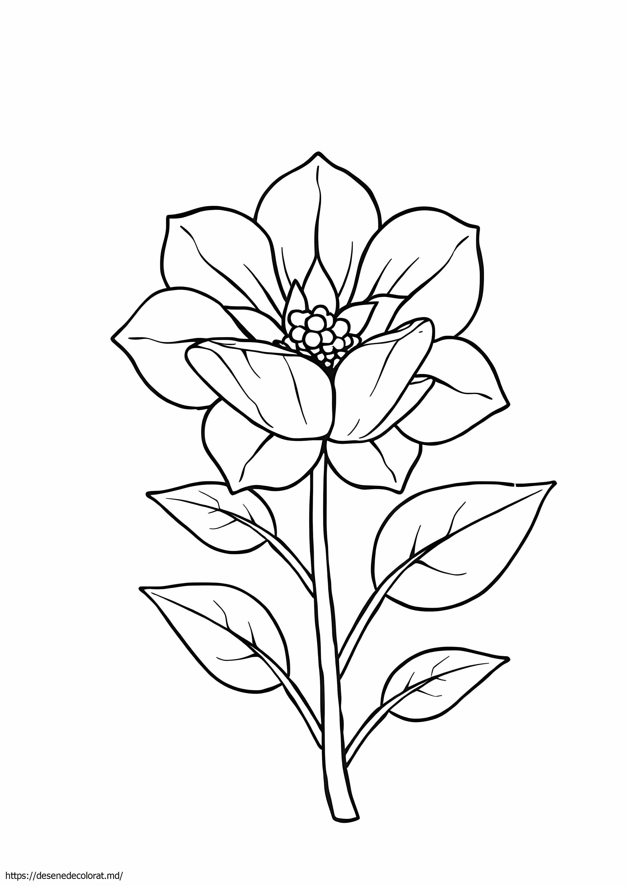 Floare unică