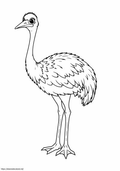 Emu
