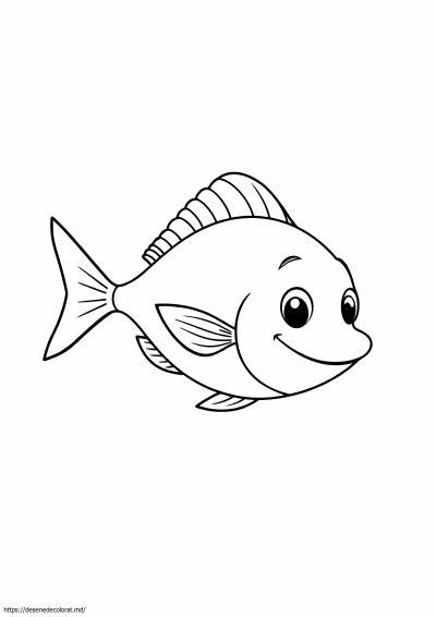 Fin