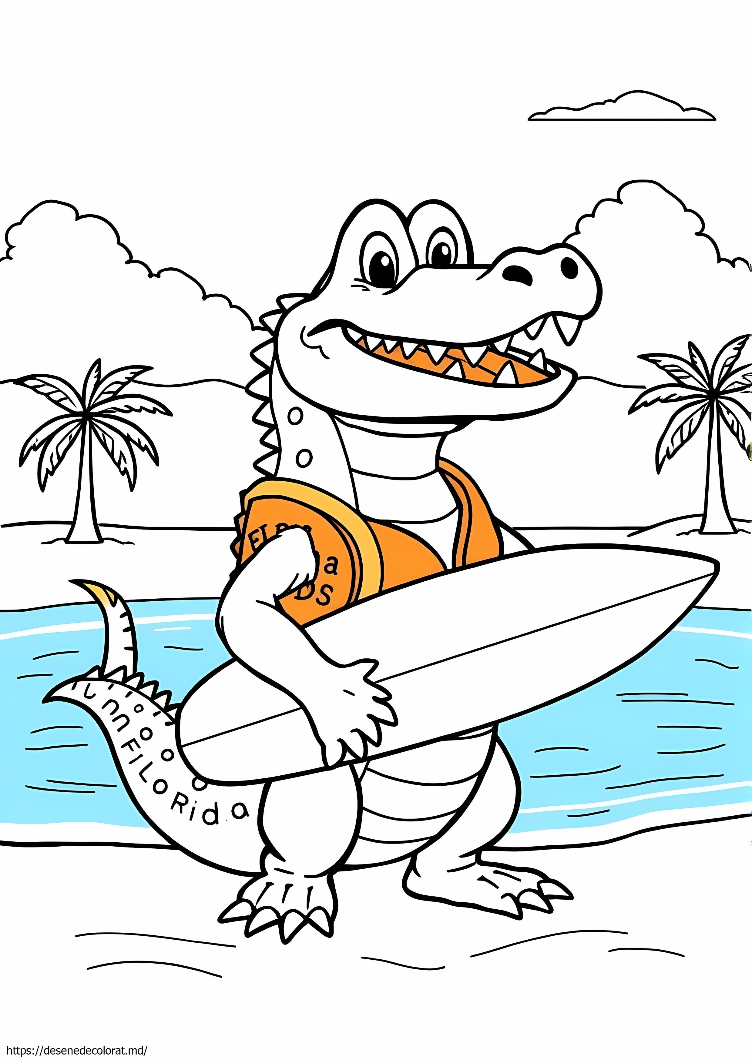 Florida Gator