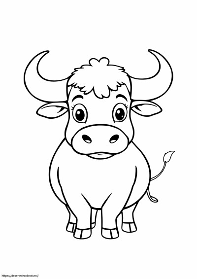 Toro