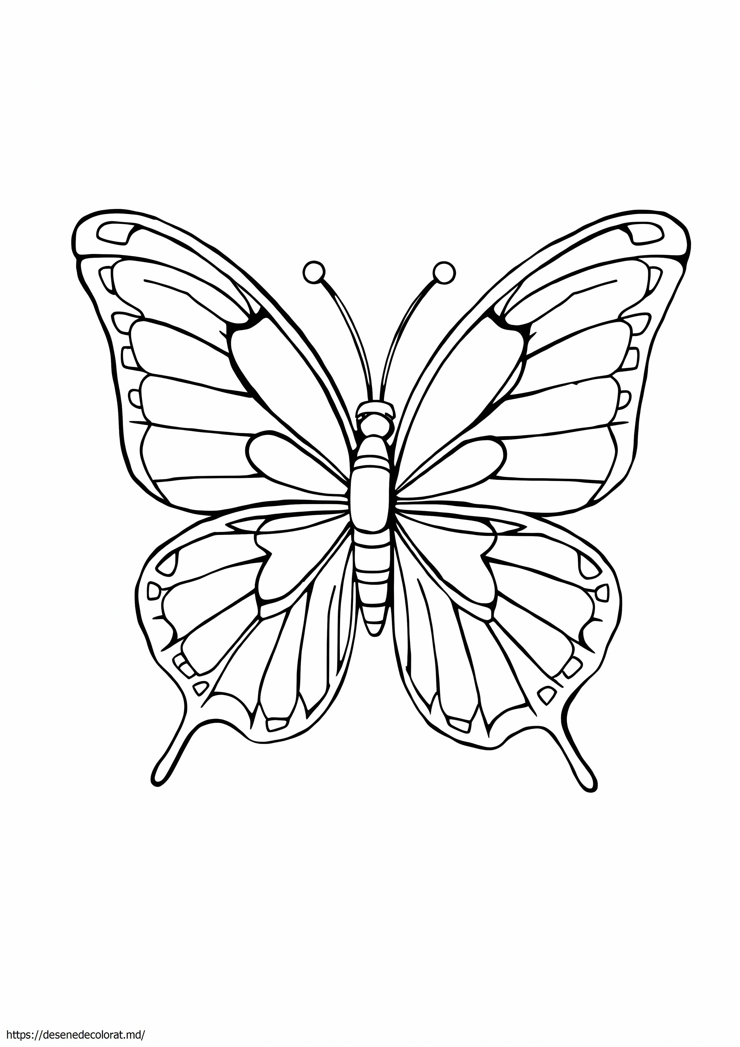 Fluture albastru morfo