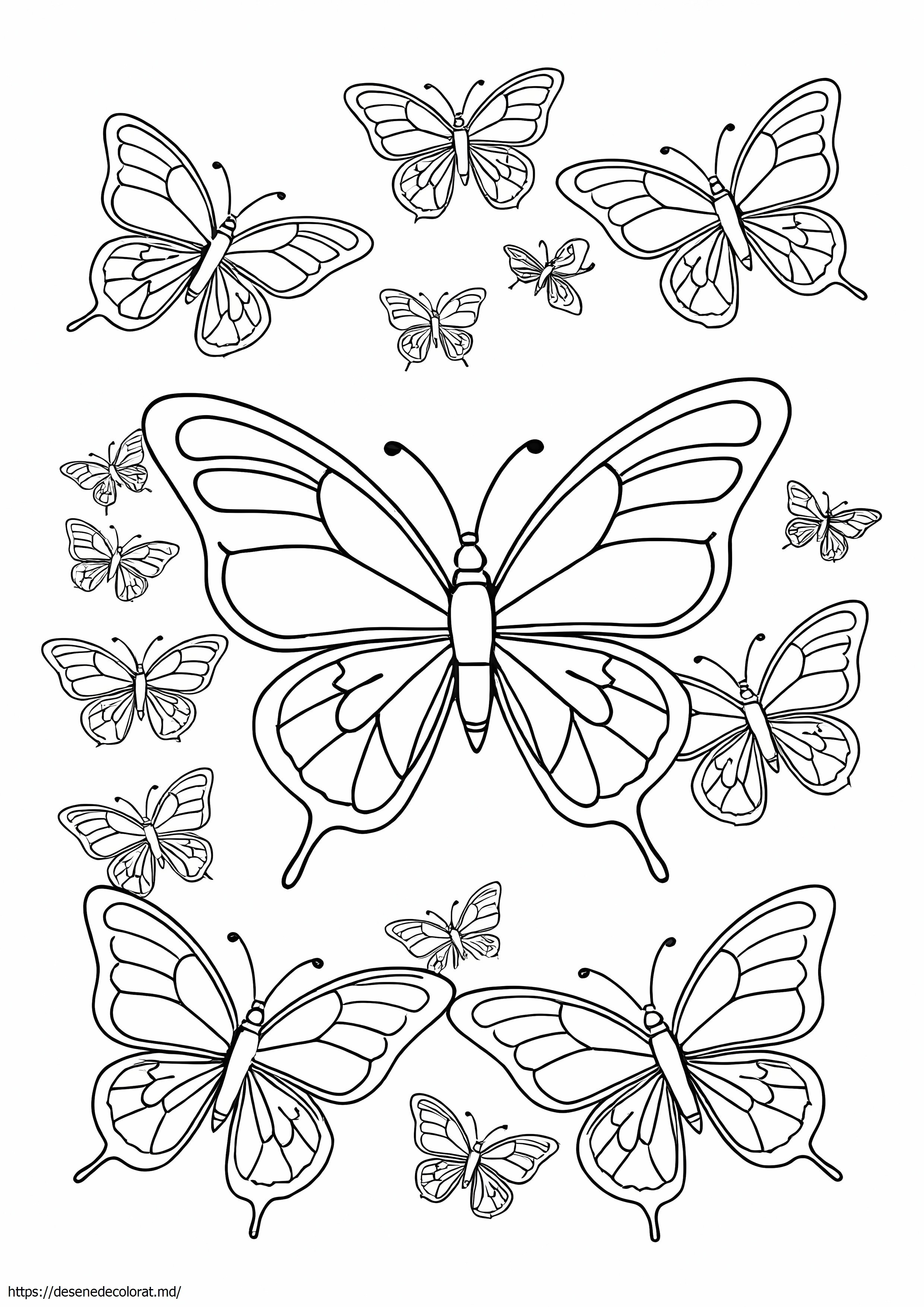 Fluture contur fluture multiplu