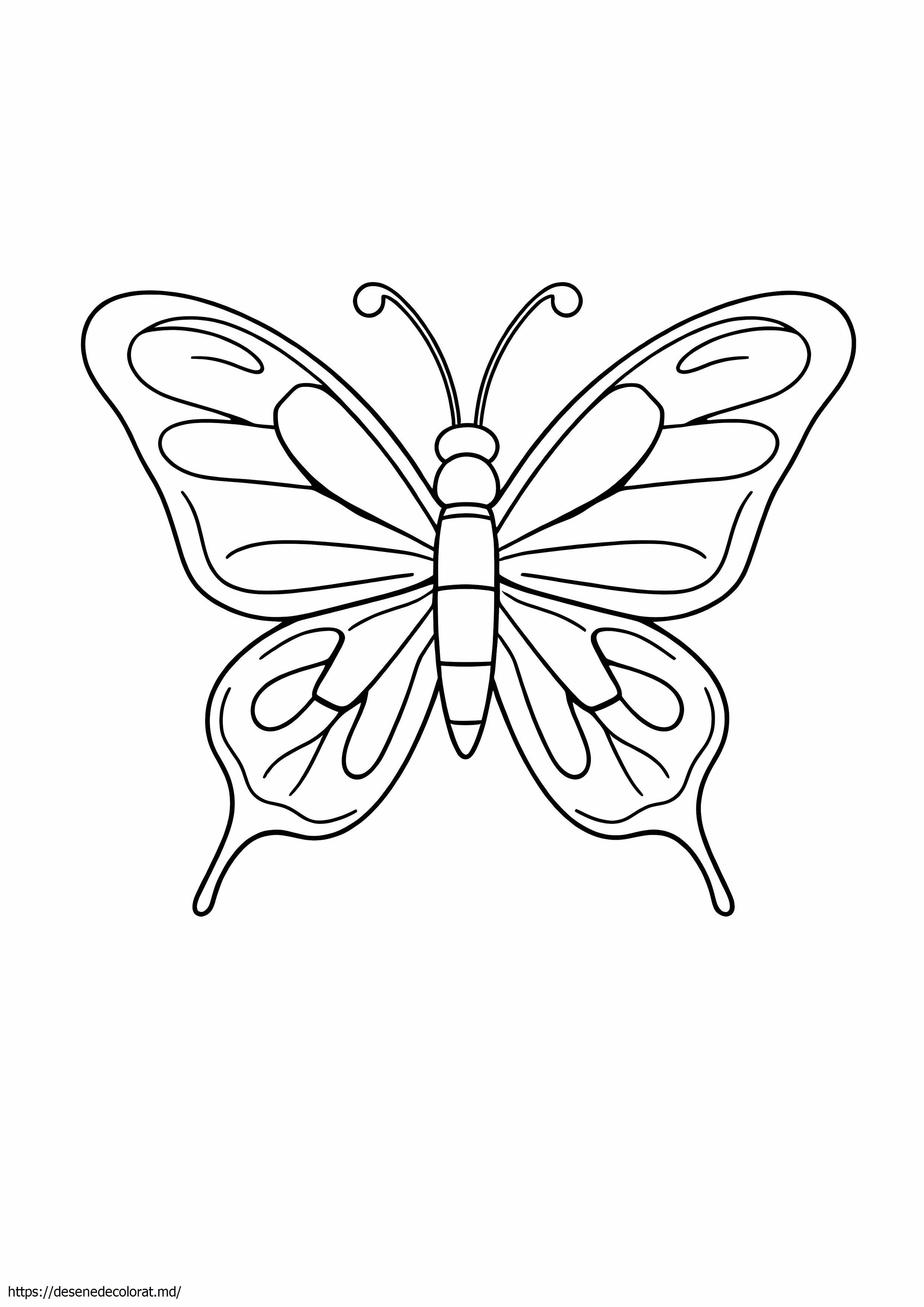 Mariposa