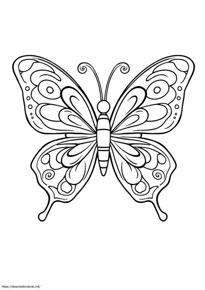 Fluture rece