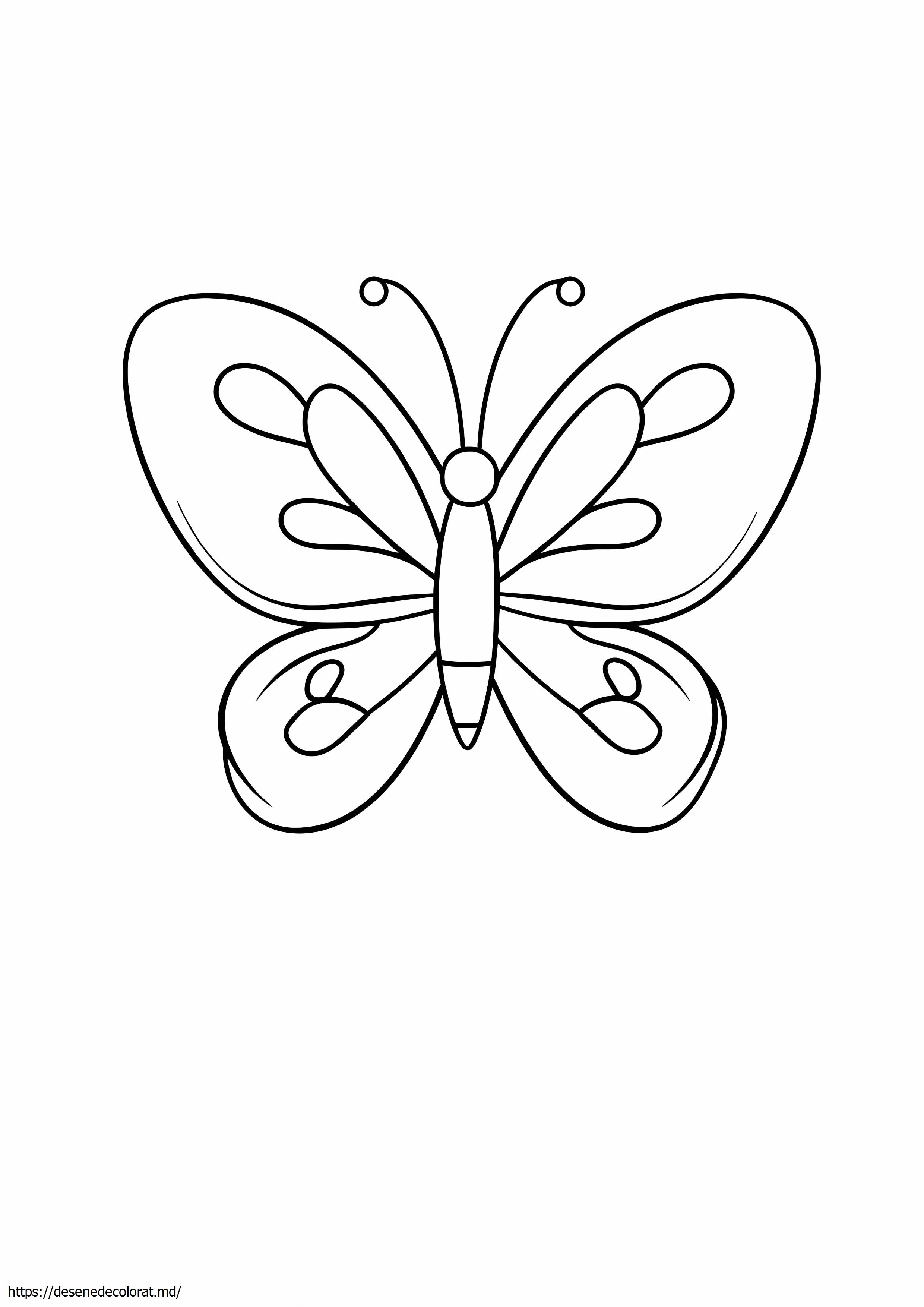 Papillon