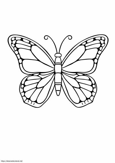 Fluture monarh simplu