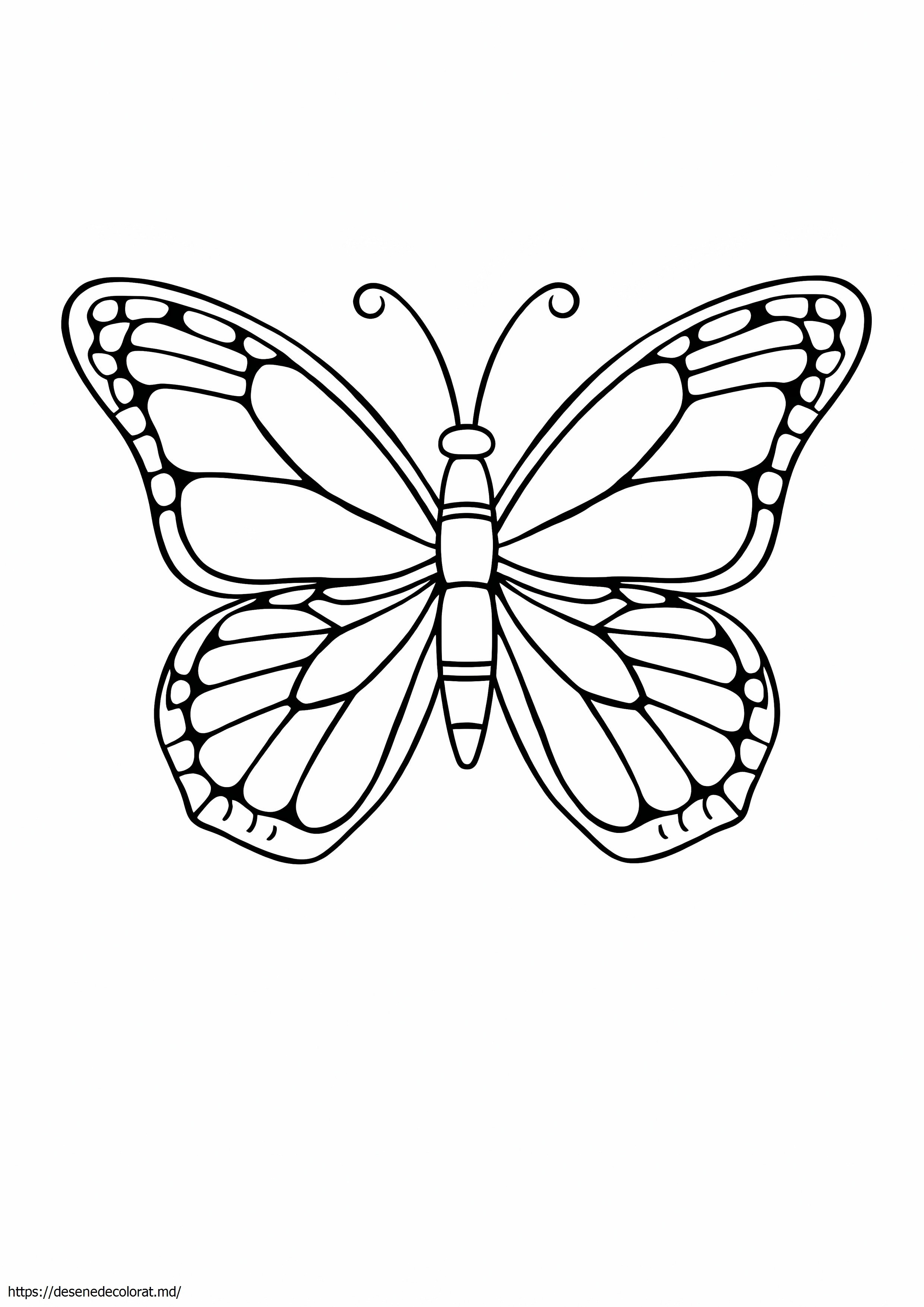 Fluture monarh simplu