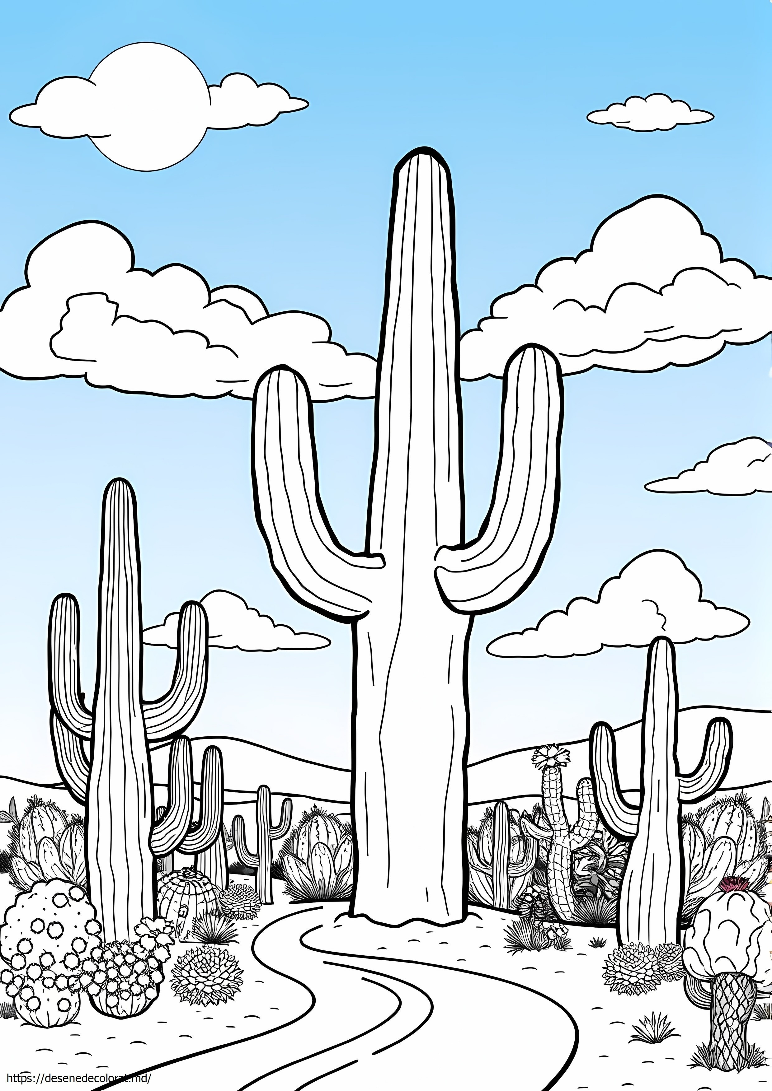 Saguaro