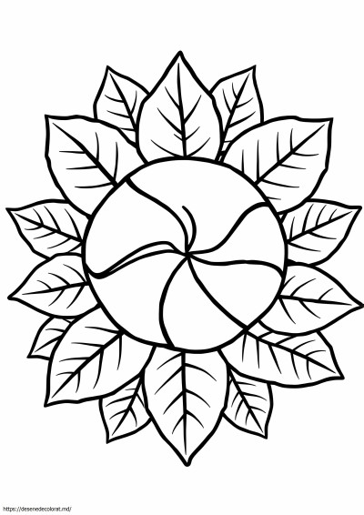 Mentă