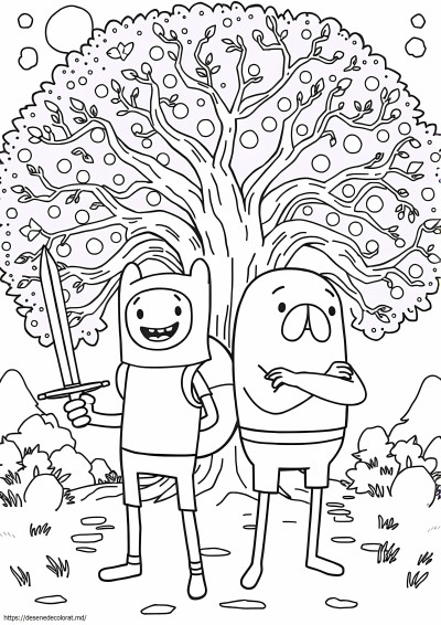 Timpul aventurii cu Finn și Jake