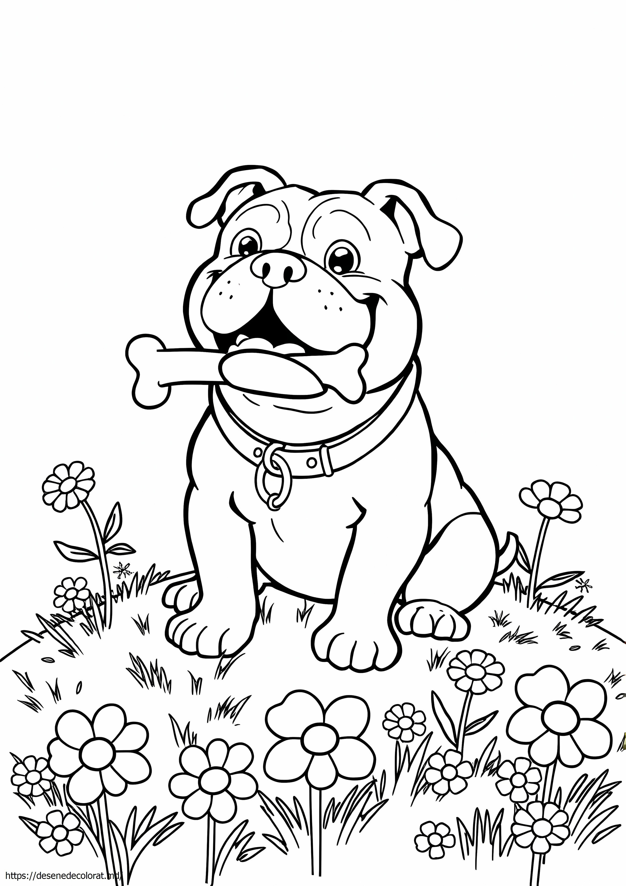 Ga buldog