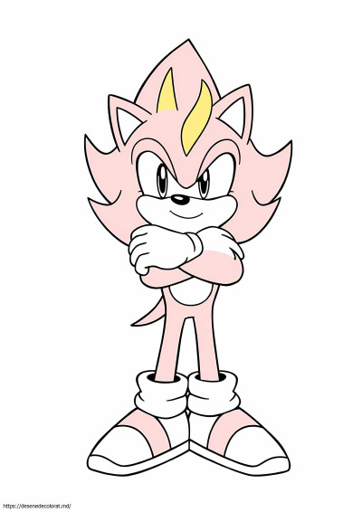 Blaze Sonic ariciul