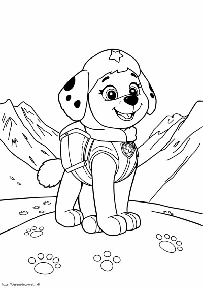 Everest Paw Patrol