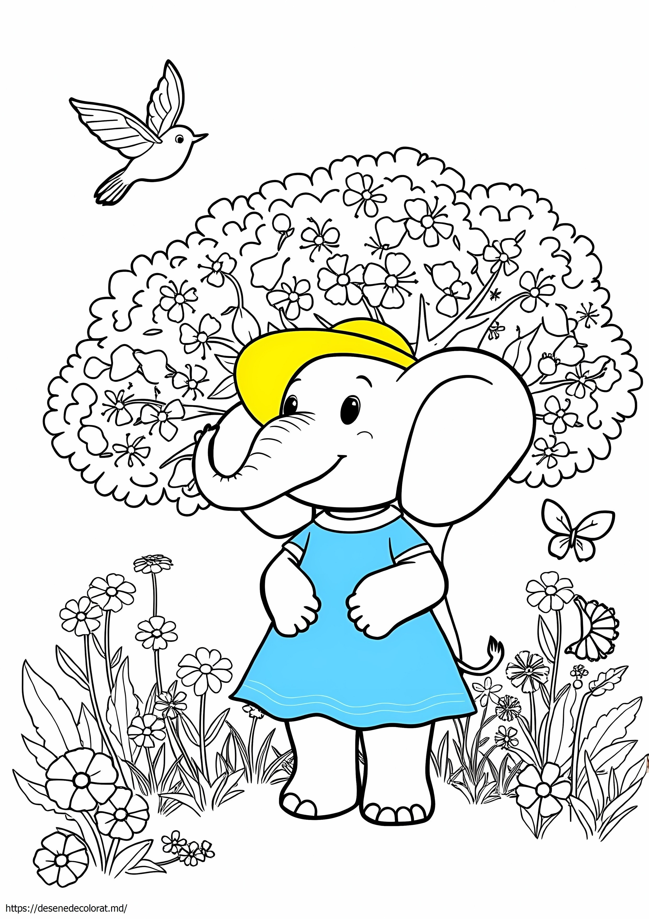 Elinor se întreabă de ce