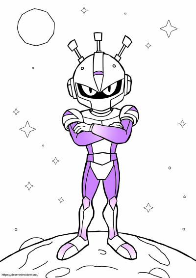 Invadator zim