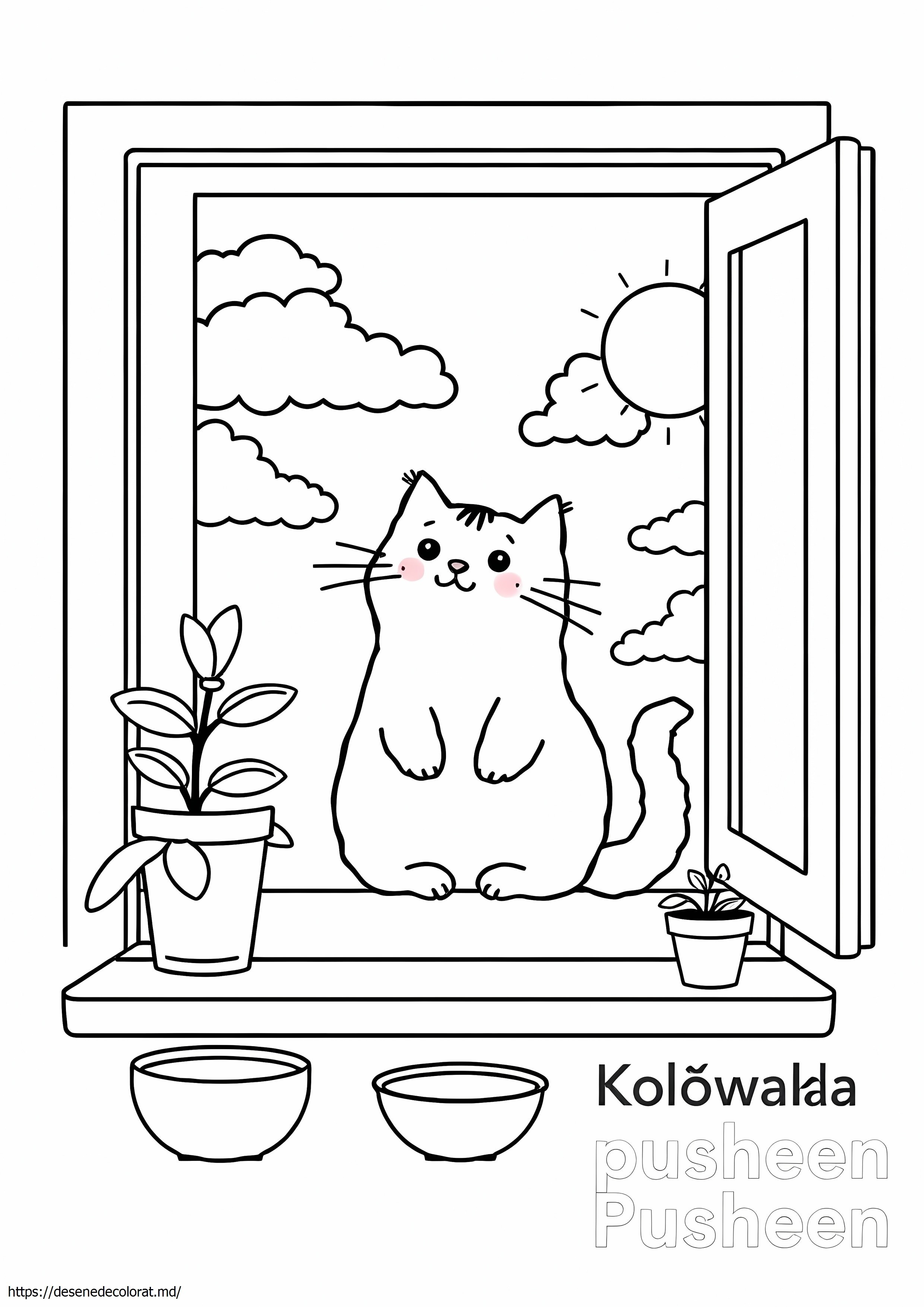 Culoarewanka pusheen