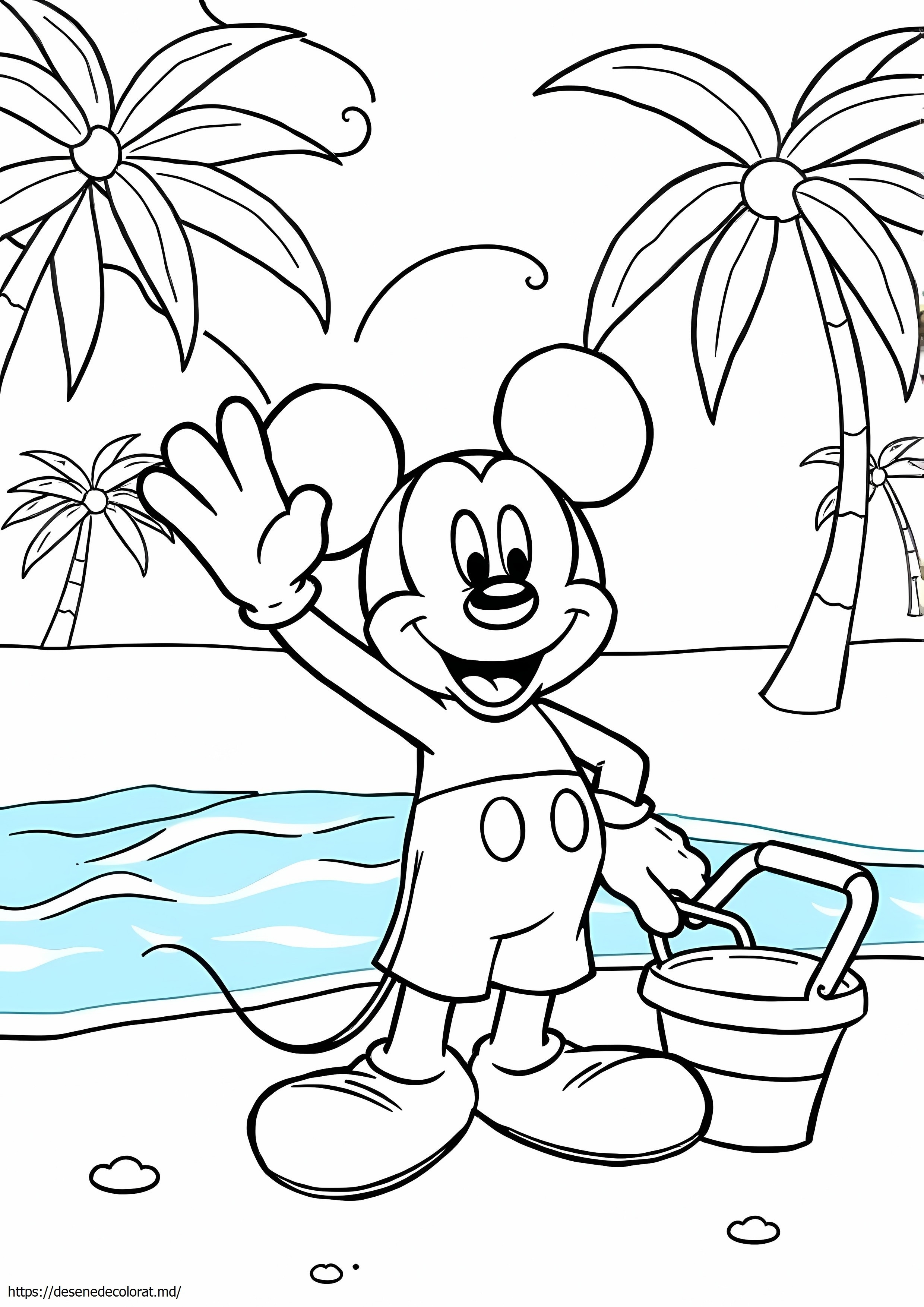 Plaja mickey mouse