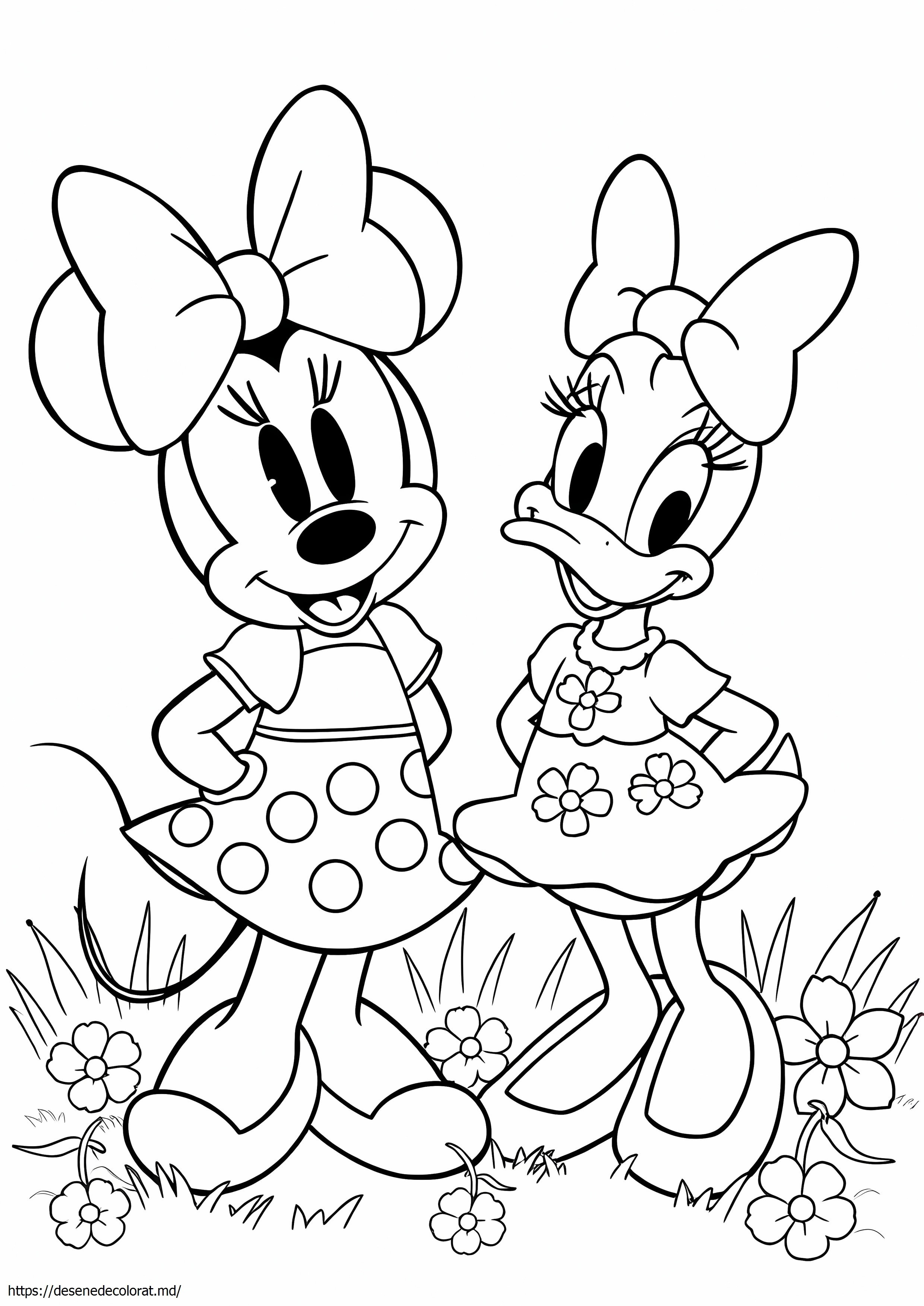 Minnie mouse rață margaretă