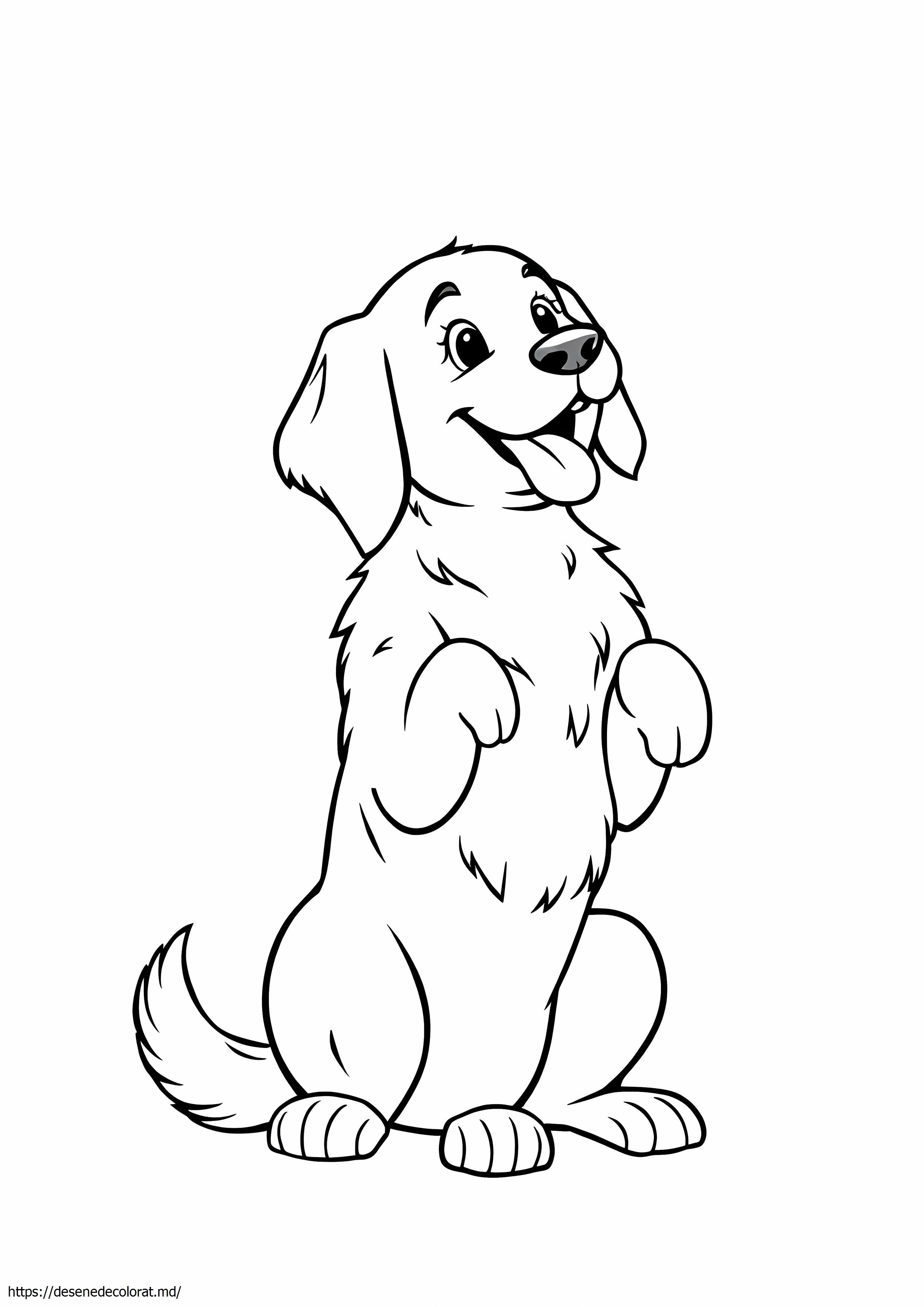 Câine golden retriever