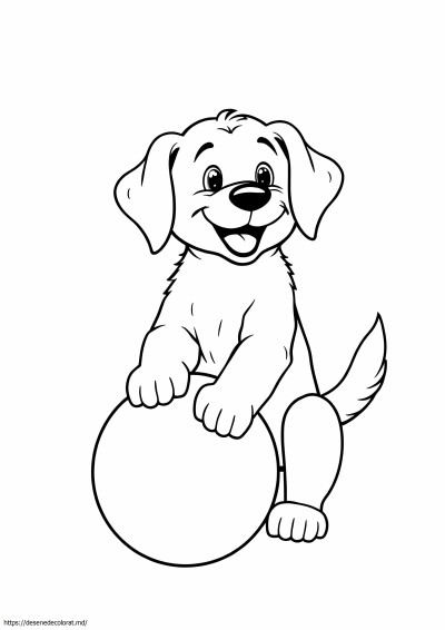 Catelus golden retriever