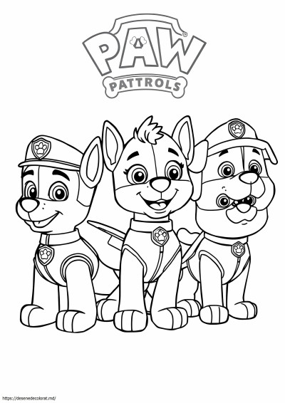 Paw partol