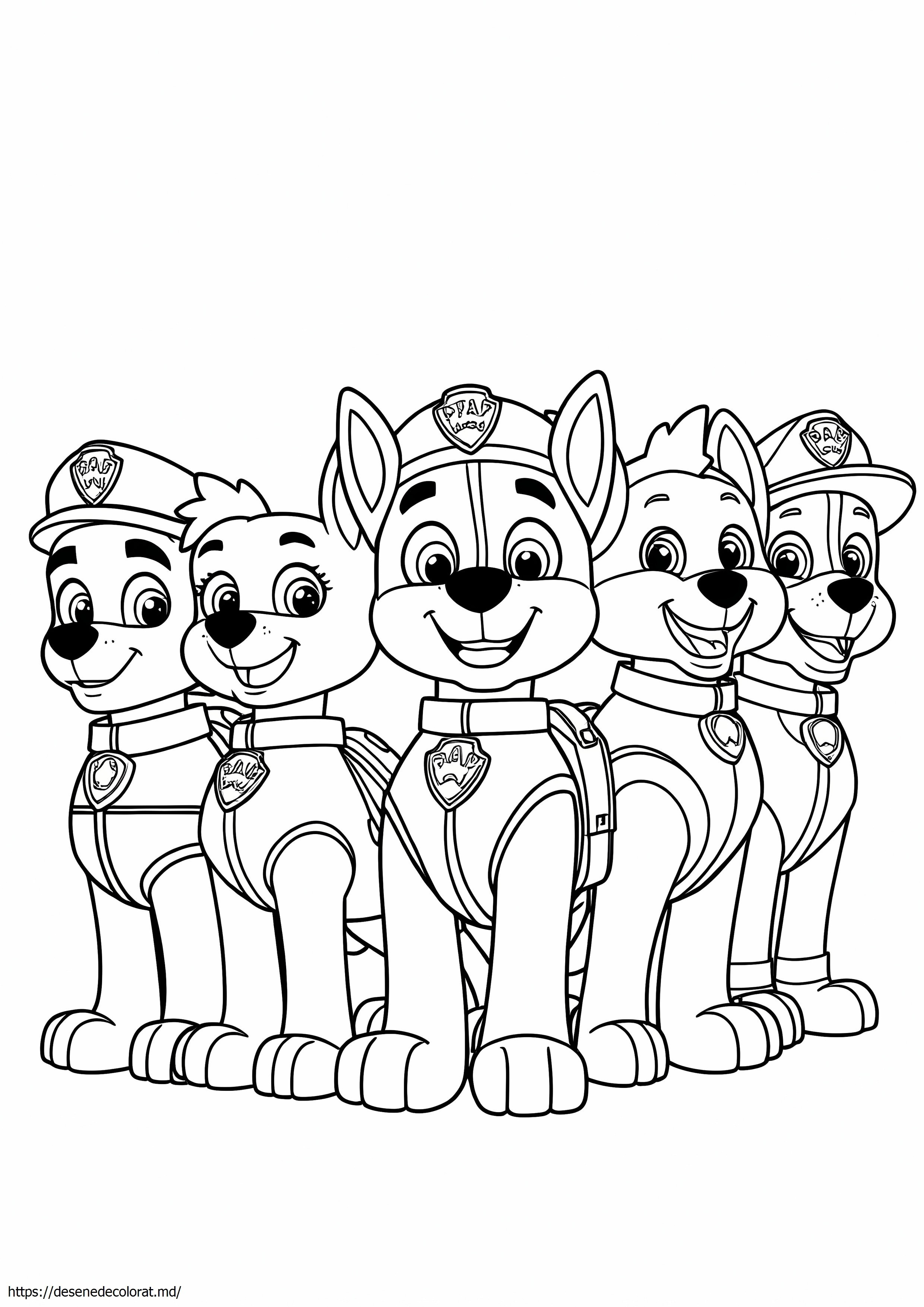 Paw patro