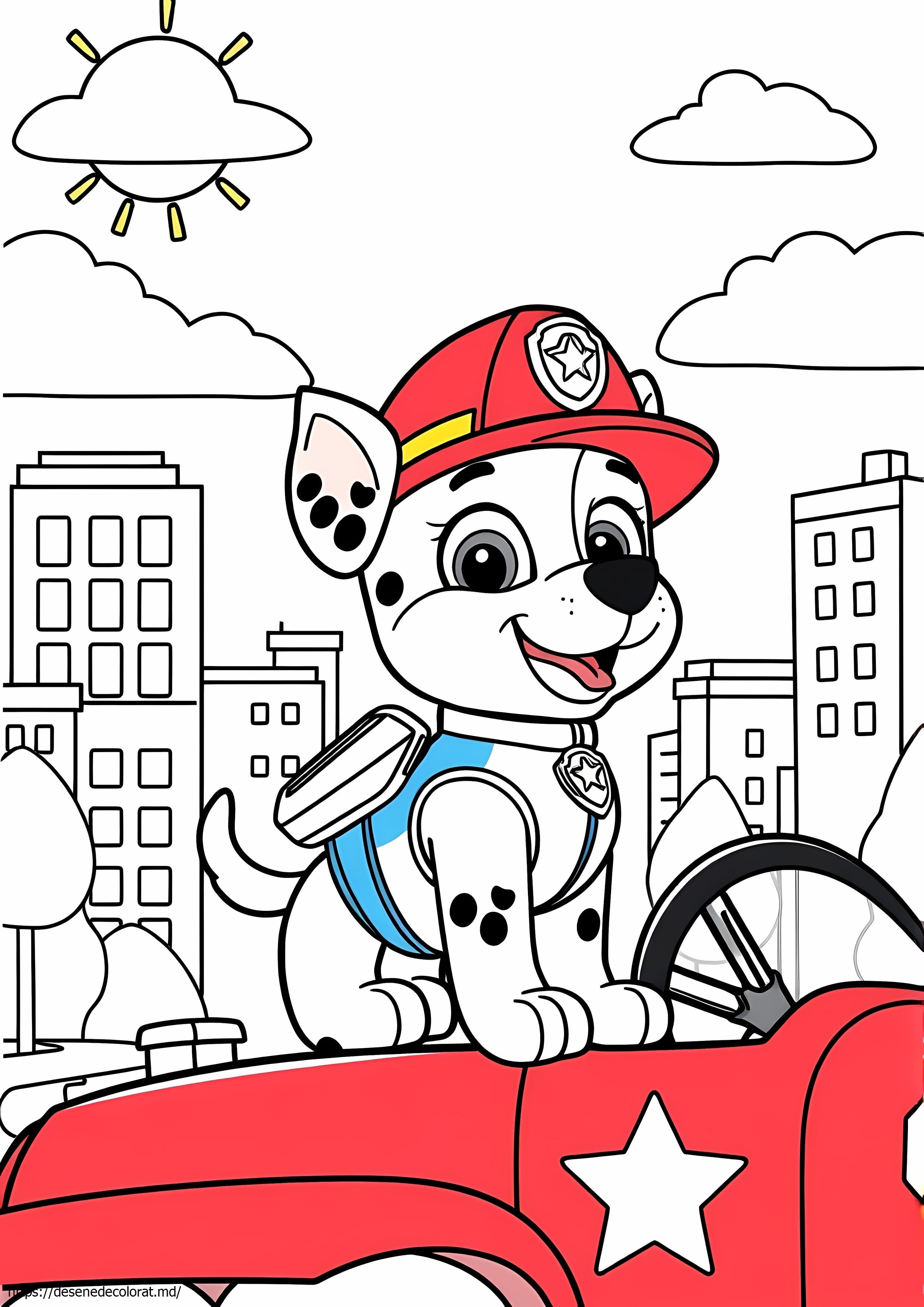 Paw patril