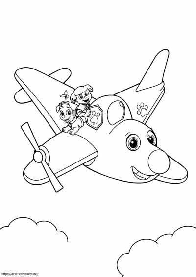 Avion de patrulă cu laba
