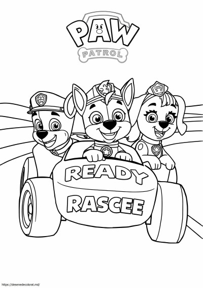Paw Patrol gata de salvare a cursei