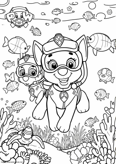 Pui de aqua patrula labe
