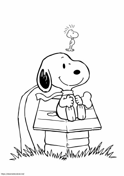 Arahide snoopy