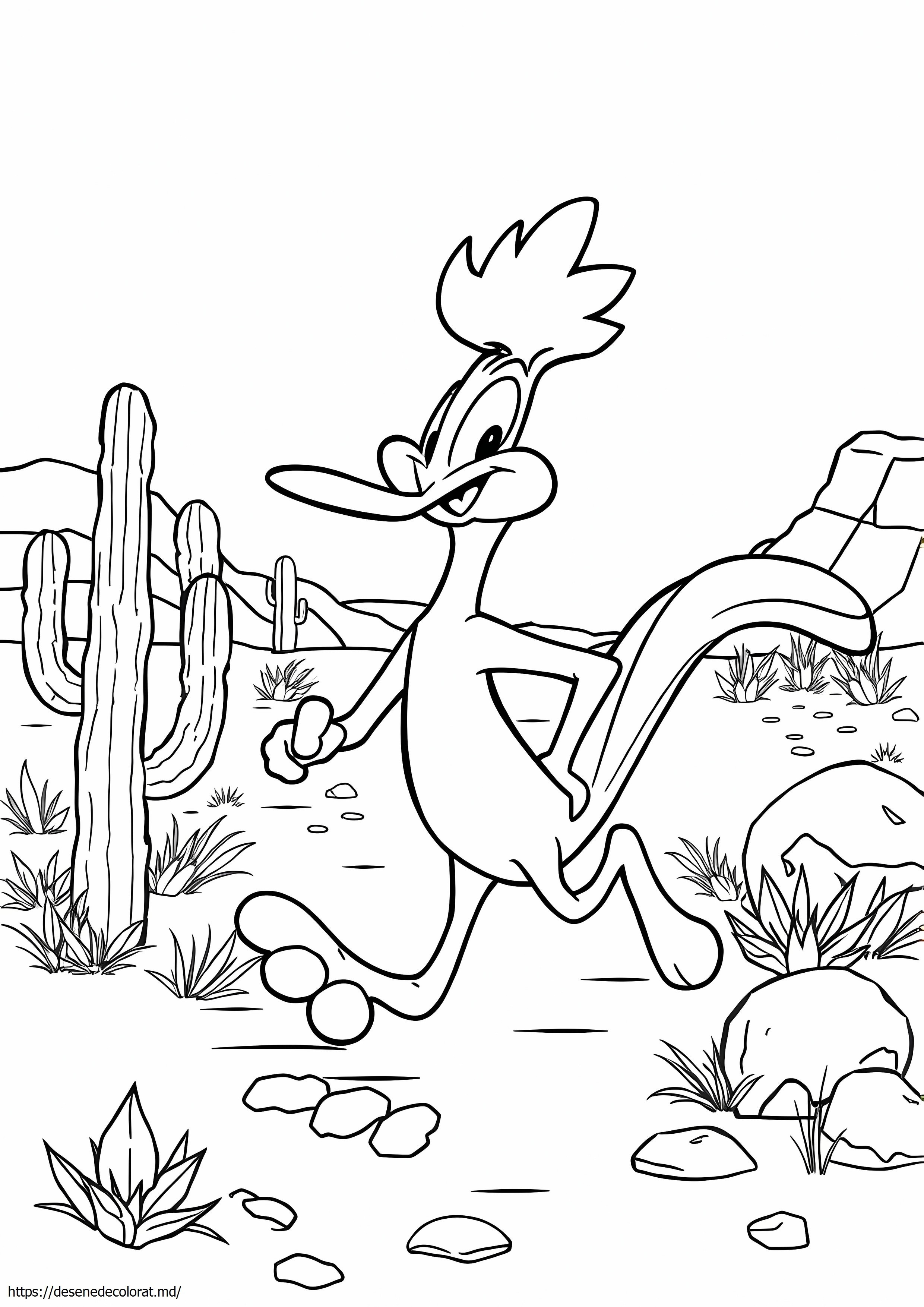 Roadrunner looney tunes