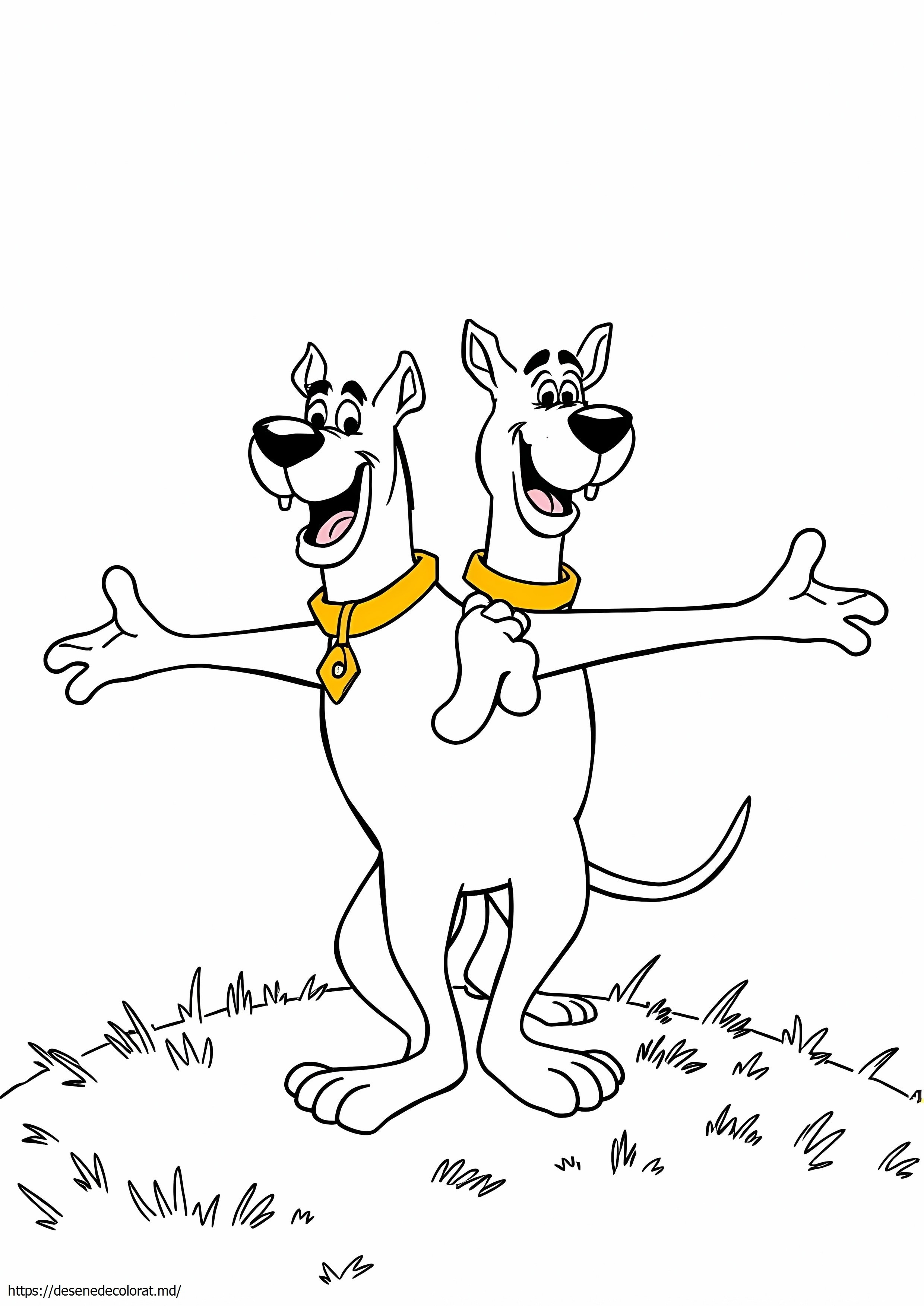 Scobby doo
