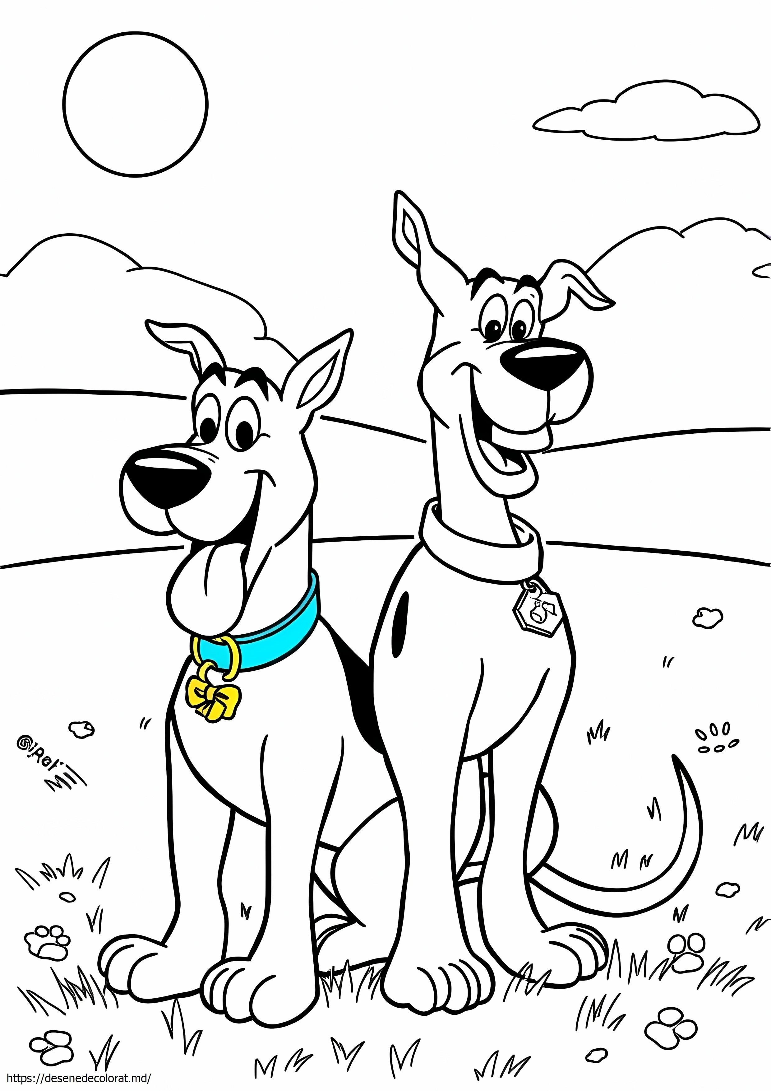Scooby doo și scrappy doo