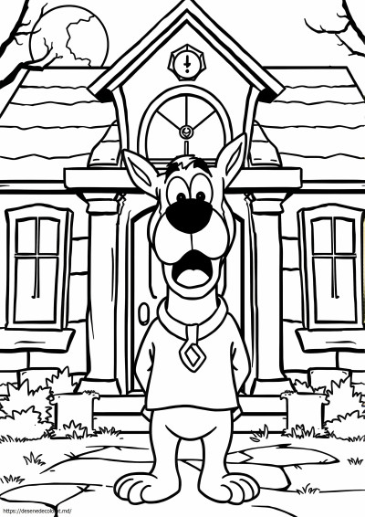 Shaggy Scooby Doo