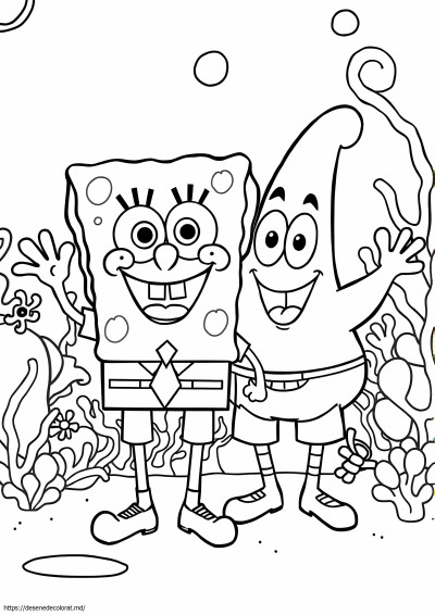 Bob burete și patrick