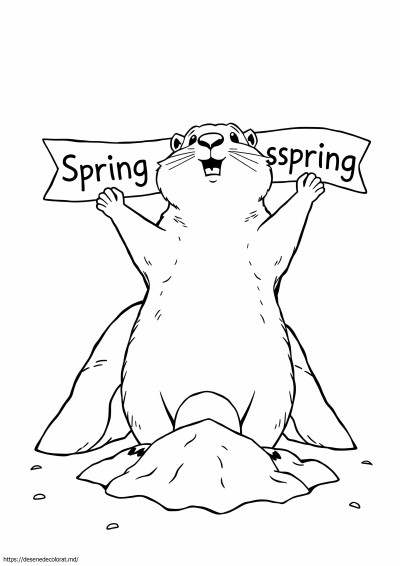 Marmota