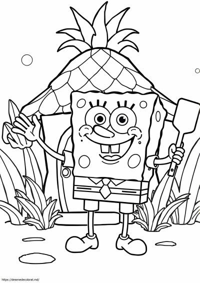 Sponge bob