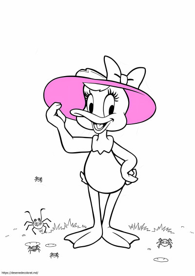 Webby ducktales