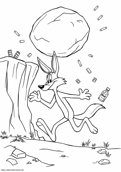 Wile coiote