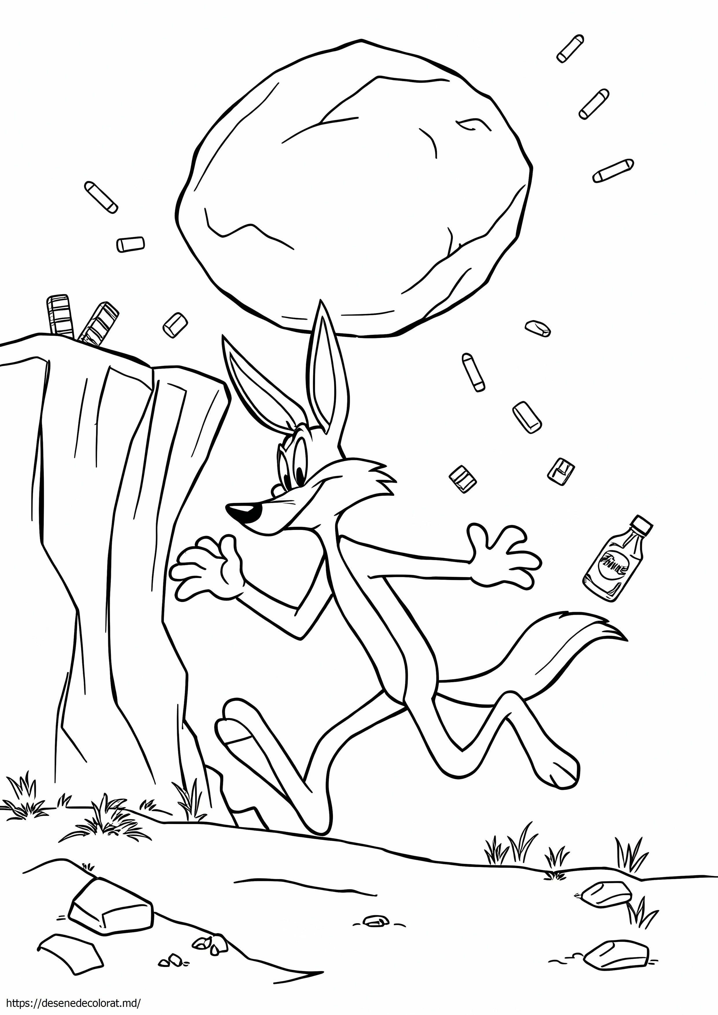 Wile coiote
