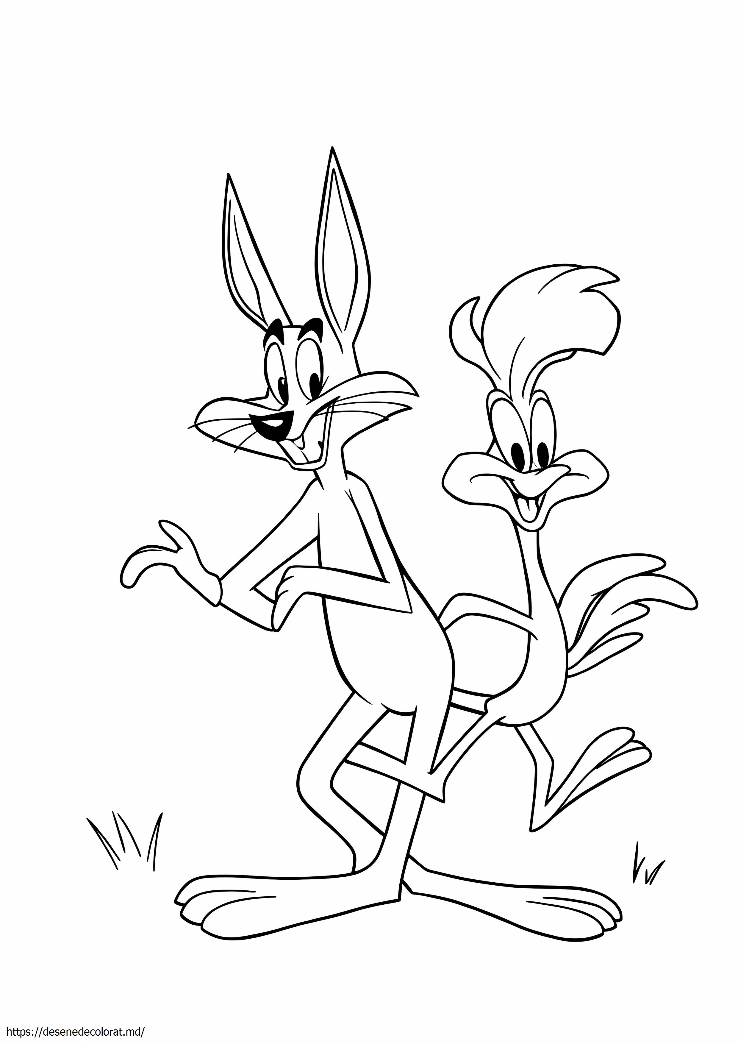 Wile e coyote și roadrunner